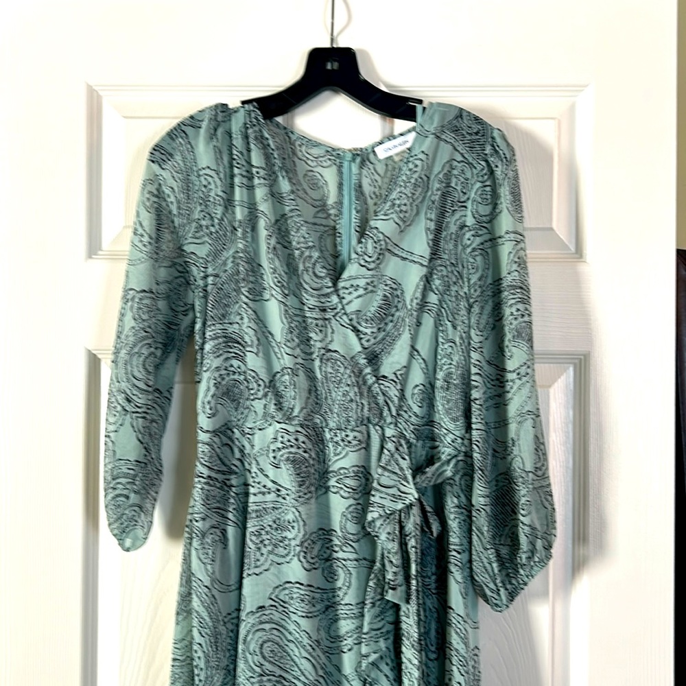 Chiffon overlay Calvin Klein springtime dress